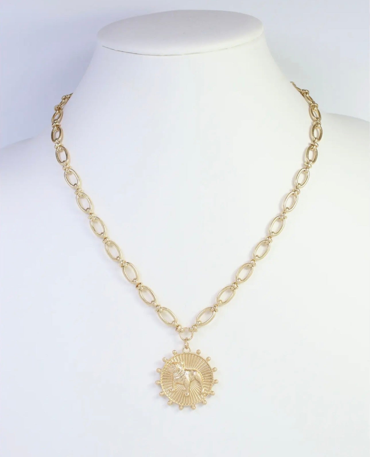 Worn Gold Dog Coin Necklace